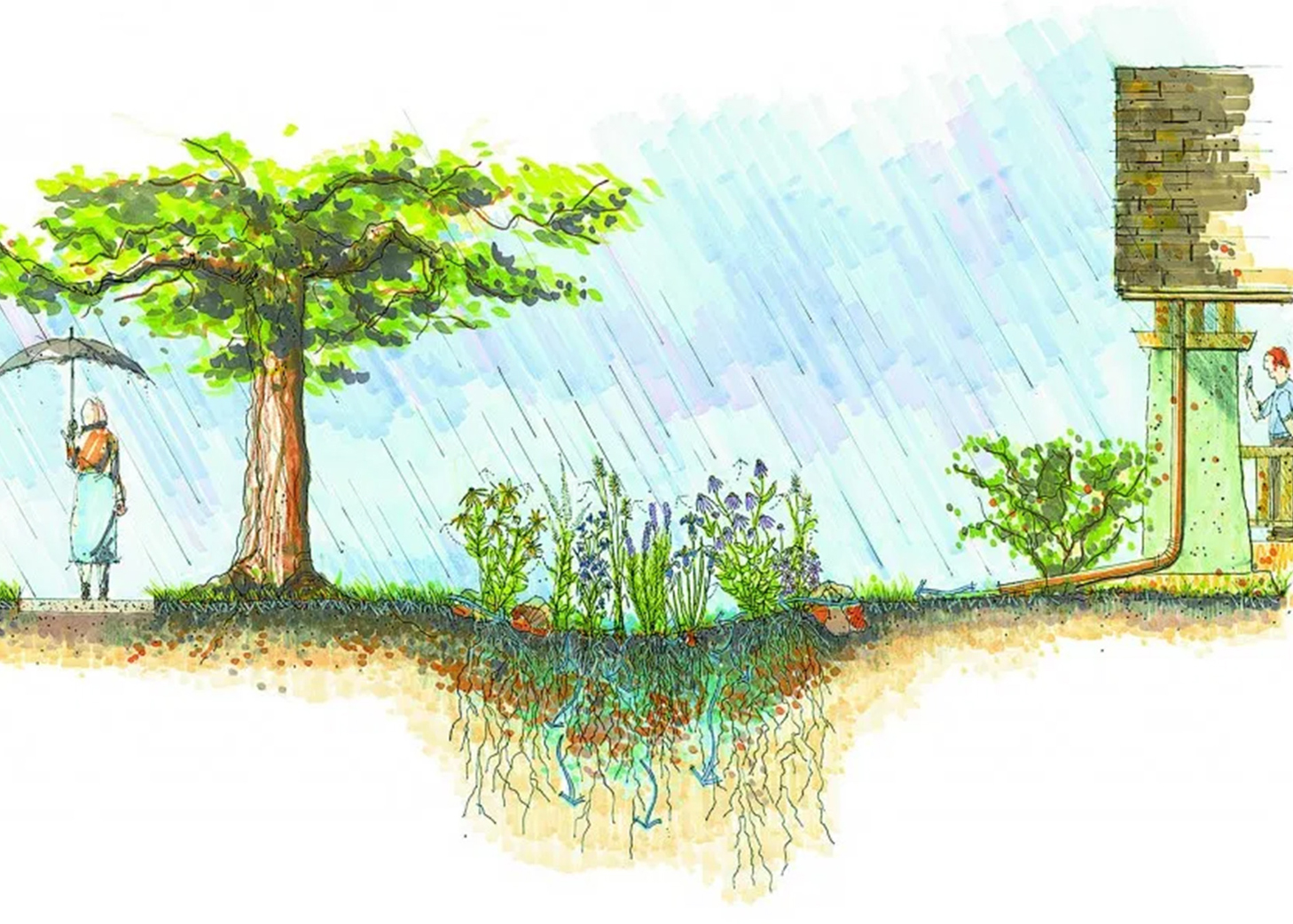 Corte ilustrativo de um jardim de chuva